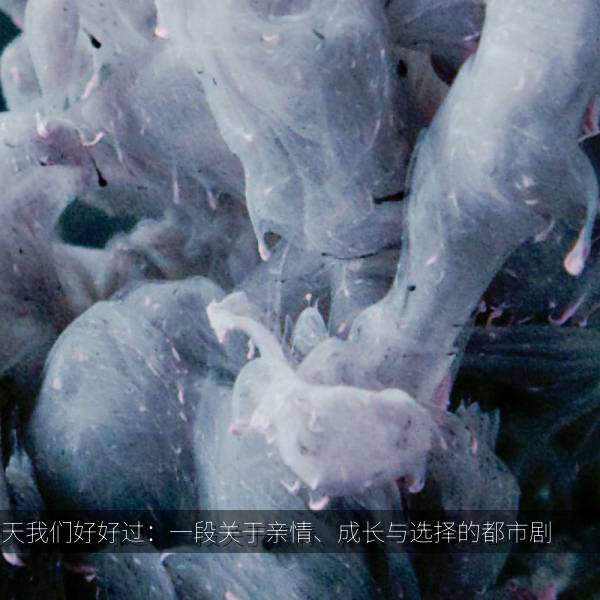 明天我们好好过：一段关于亲情、成长与选择的都市剧 海报