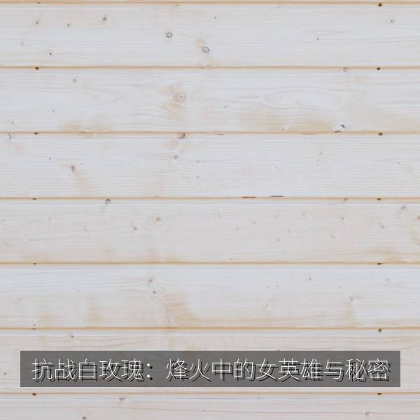抗战白玫瑰：烽火中的女英雄与秘密 海报
