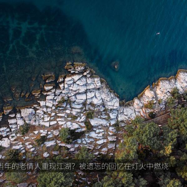 当年的老情人重现江湖？被遗忘的回忆在灯火中燃烧 海报